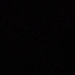 Meet your Posher, Trevor